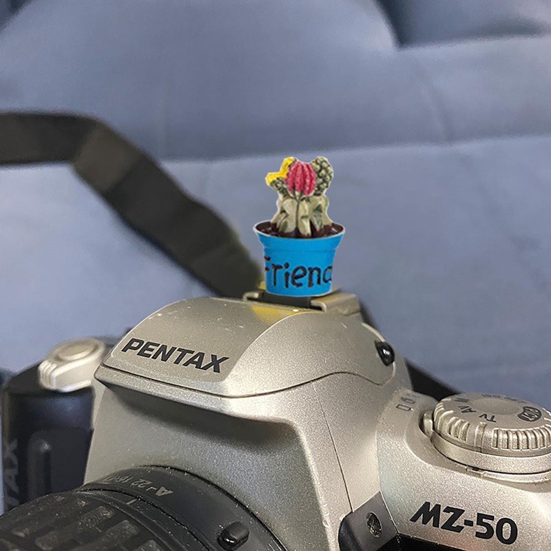 MENGSOOD Camera Hot Shoe Cover, Plants Cactus Hot Shoe Cap, Hot Shoe Protector Compatible with Sony Fujifilm Fuji Canon Nikon Pentax Leical Panasonic (2pcs Friend Flower) - Image 3